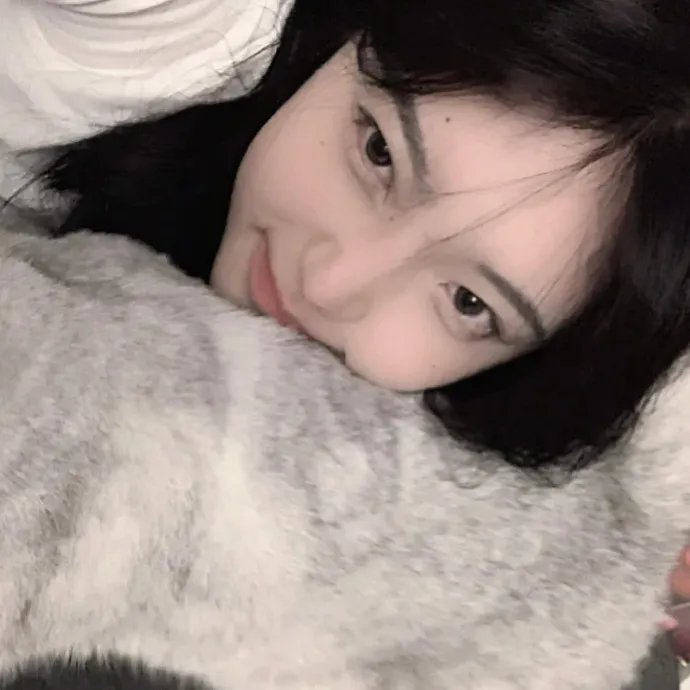 明日方舟:黎明前奏日语